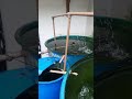 CRIAÇÃO DE PEIXES Em Caixa D'agua