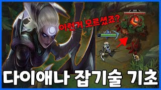 【다이애나 기초】 다이애나의 모든 잡기술 알려드립니다.