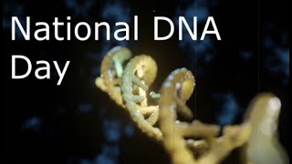 National DNA Day (April 25) - Activities and How to Celebrate National DNA Day