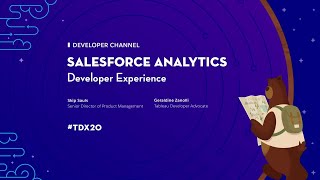 Salesforce Analytics Developer Experience