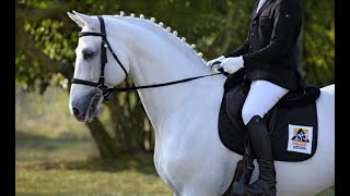 Equestrian Premier League 2021 \u0026 25 Year Celebration