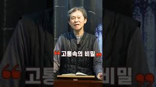 고통속의 비밀 신비는 신앙의 아름다움입니다. I 노희철 베드로 신부 I 가톨릭스튜디오