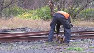 CN Rail Repair