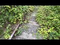 exploring castleford viaduct along leeds to garforth line