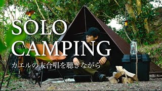 Overnight SOLO Camping near the Sea in Japan (bonfire, bushcraft, frog chorus)