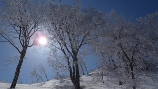 【日本百名山に登ってみた】2013 登山まとめ