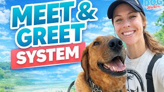 How To Run A Perfect Meet & Greet ( Dog Walkers & Pet Sitters )