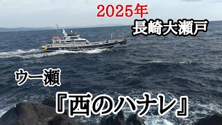 2025年スタートは大瀬戸のグレ釣り。本年も宜しくお願い致します。