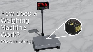 How does a Weighing Machine Work? (3D Animation)