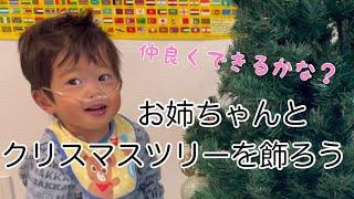 【姉と弟】あわや喧嘩に⁈自己主張をし始めた2歳たっくんと、甘えん坊のしっかり屋さんのお姉ちゃん。一緒にクリスマスツリーを飾るよ。