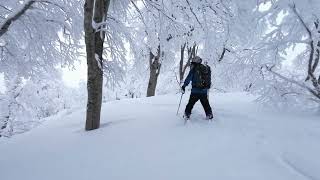 2025年1月4日鍋倉山ブナ林のパウダー山スキー