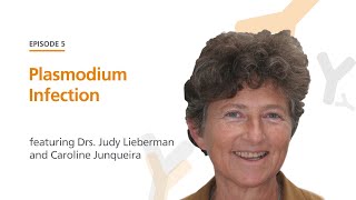 Plasmodium Infection featuring Drs. Judy Lieberman and Caroline Junqueira | The Immunology Podcast