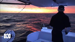 Fishers have been catching Spanish mackerel for decades. That's now coming to an end | ABC Australia