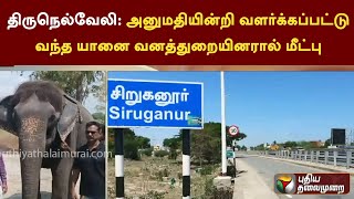 திருநெல்வேலி: அனுமதியின்றி வளர்க்கப்பட்டு வந்த யானை வனத்துறையினரால் மீட்பு | PTT