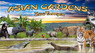 The Asian Gardens at ZooTampa | Ep. 25