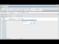 DBxtra Data Grid Basics