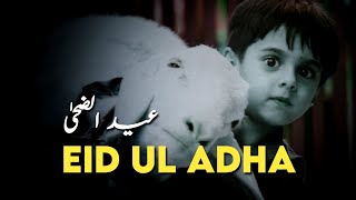 Qurbani status | Bakra eid mubarak status | Eid ul adha mubarak | Eid mubarak 2022 | eid ul azha