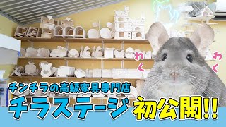 【史上初】チンチラの高級家具専門店「チラステージ」の工房を初公開！