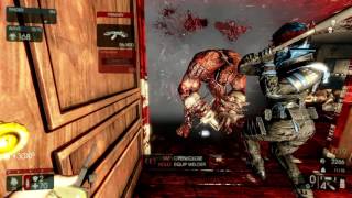 KF2 - Firebug lvlup 25