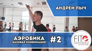 Комбинация из базовой аэробики #2