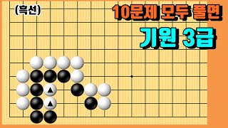 도전! 기력테스트 #86 [바둑 10문제]