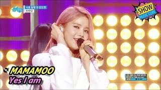 [Comeback Stage] MAMAMOO - Yes I am, 마마무 - 나로 말할 것 같으면 Show Music core 20170624