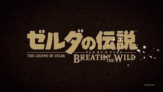 (MAD)ゼルダの伝説 終端の王と異世界の騎士(英傑)