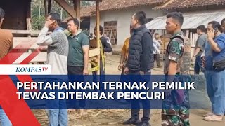 Seorang Warga di Lampung Utara Tewas Ditembak Pencuri saat Pertahankan Ternak!