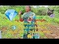 gajulaalli Diamonds Hunting 💎 || గాజులపల్లి వజ్రాల వేట