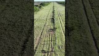 Con un dron encontraron a una niña de 3 años que estuvo 5 horas perdida en La Pampa