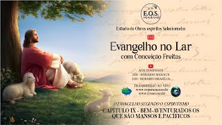 Evangelho no Lar do EOS - Estudo 116 do Evangelho segundo o Espiritismo: CAPITULO IX (parte 3)