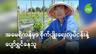 အမေရိကန်မှာ စိုက်ပျိုးရေးလုပ်ငန်းနဲ့ ပျော်ရွှင်နေသူ