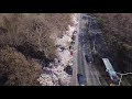 cherry blossom in hagley park christchurch