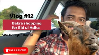 Bakra shopping for Eid ul adha | बकराईद के लिए बकरा ख़रीदा | Mashallah we bought Badal | vlog #12