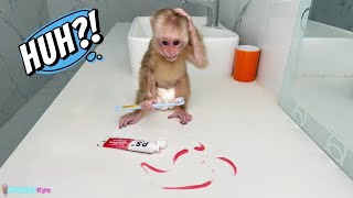 Monkey Kyo brings a fun and super funny morning!