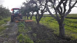 Calderoni FPF 116 In-Roll Tiller at Delgado's Citrus Farm available from Butler Equipment