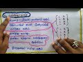 தாழிசைகள் 6 பாவினங்கள் ஓர் எளிய விளக்கம் பகுதி_01