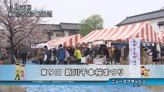 第9回 新川千本桜まつり