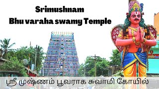 Srimushnam Bhu varahaswamyTemple|‍‌ ஸ்ரீமுஷ்ணம் பூவராக சுவாமி கோவில்|Bhuvarahaswamytemple|Bhoovargha