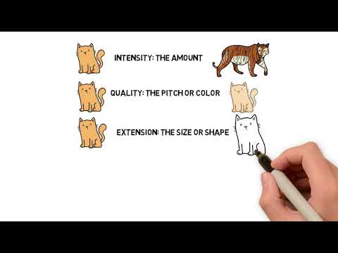 Which of the following describes the differences in stimuli required to detect a difference between the stimuli?