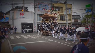 令和5年10月8日和泉市府中だんじり祭　午前曳行