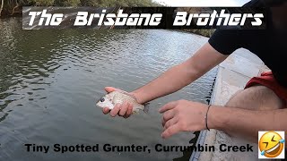 CURRUMBIN RIVER LAND BASED FISHING SESSION