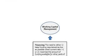17 Performance Appraisal Working Capital