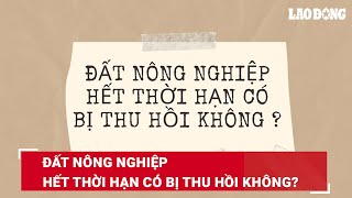 Đất nông nghiệp hết thời hạn có bị thu hồi không?| Báo Lao Động