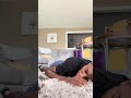 Crème the Frenchie Wants Dad to Stop Snoring 😴😂 (🎥: ViralHog)