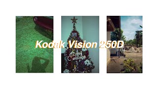 Kodak Vision3 250D | 35mm