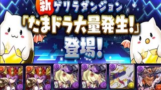 新ゲリラダンジョン【パズドラ】たまドラ大量発生！・たまドラを追え！　赤ソニア呂布PT　【ばぁーんGames】