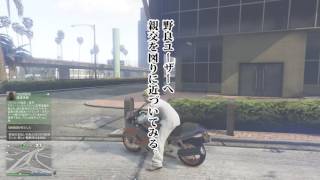 [PC版]GTA5 天使ちゃん珍プレー好プレー集