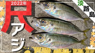 【アジング】フロートリグで新年初尺アジ!短い時合にアタリ連発!【淡路島】