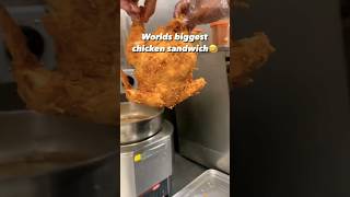 Worlds biggest chicken sandwich 🥪 #shorts #asmr #sandwich #food